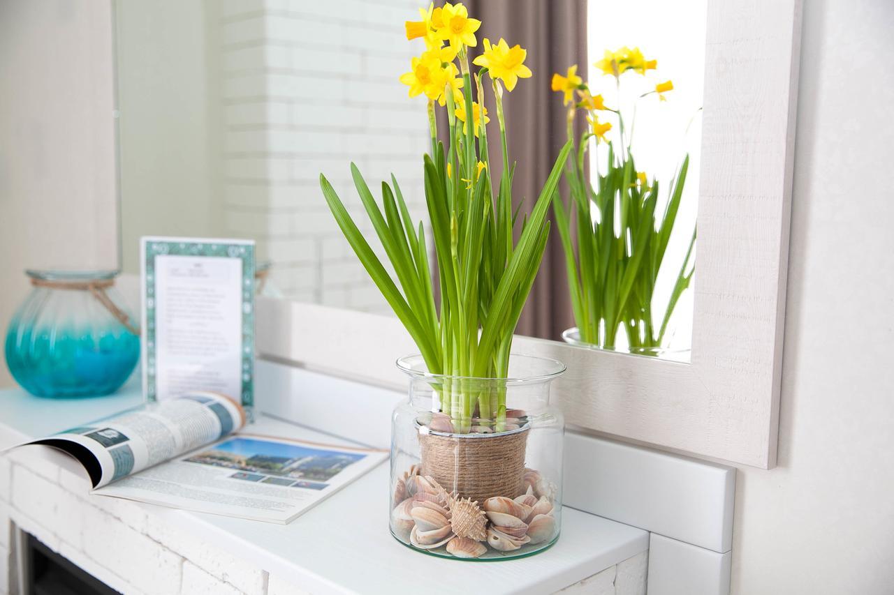 Rent Of Apartments In Kharkiv Extérieur photo